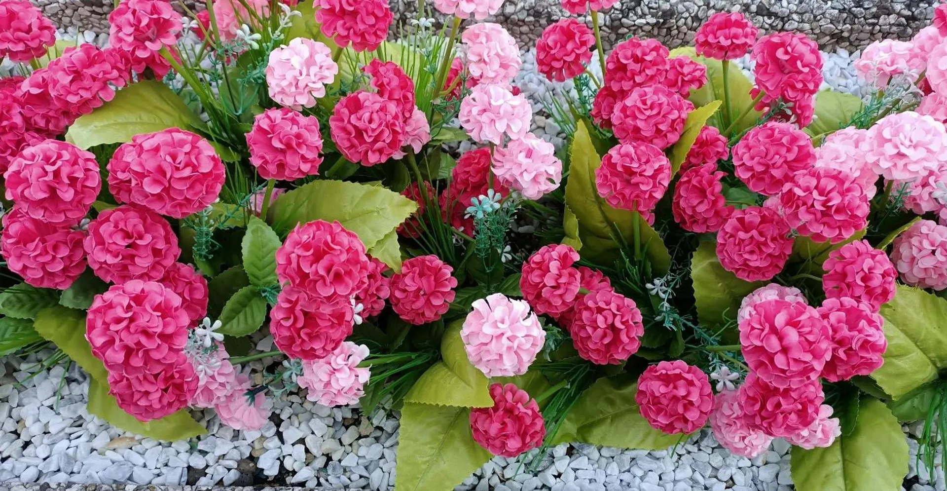Beauty Rooms ברגמו 0*,  איטליה